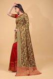 Rangeen Saree